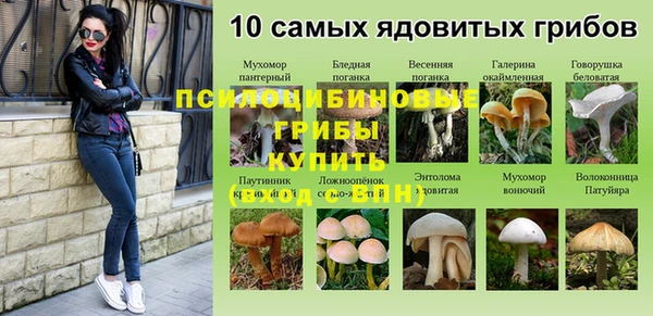 ПСИЛОЦИБИНОВЫЕ ГРИБЫ Новый Уренгой
