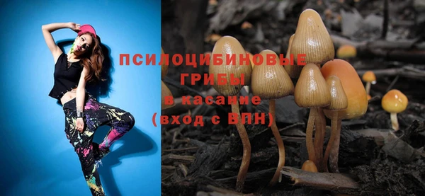 трава Березники